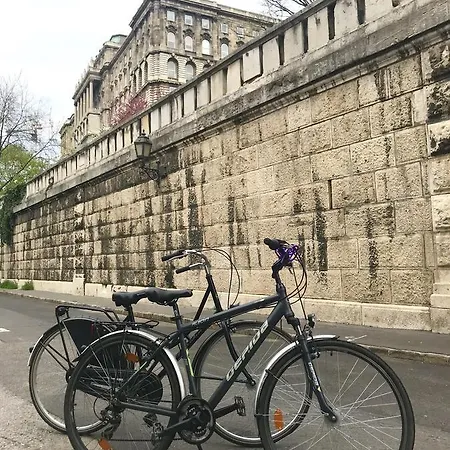 아파트 Lux Quiet And Pleasure At Buda Castle With Parking