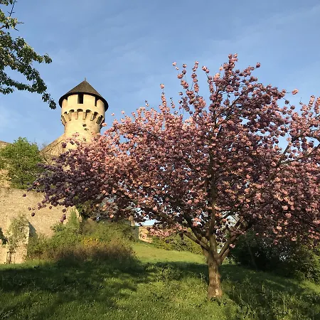 Lux Quiet And Pleasure At Buda Castle With Parking בודפשט